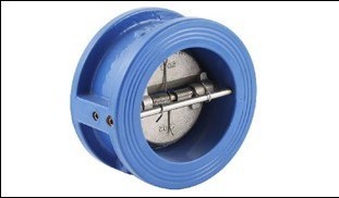 Duo check valve cast iron.jpg
