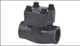 Lift check valve forged steel.jpg