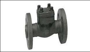 Lift check valve flange.jpg