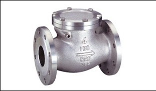 swing check valve stainless steel 150LBS.jpg