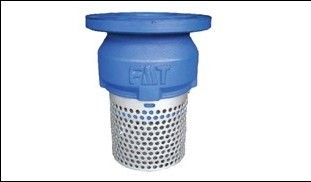 FMT foot valve cast iron.jpg