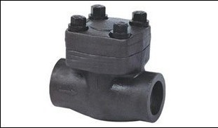 Lift check valve.jpg