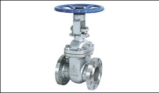 Gatevalve SS316.jpg