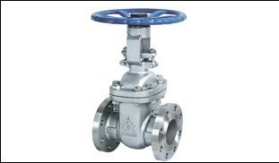 gate valve.jpg