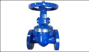 FMT Gate valve.jpg