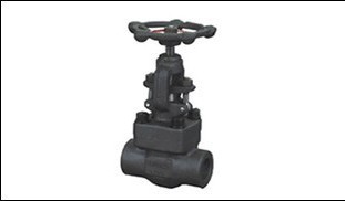 Globe valve forged steel.jpg