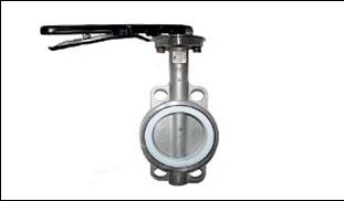 wafer type_ptfe_hand.jpg