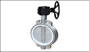 wafer type_ss316_ptfe_gear.jpg