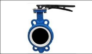 wafer type-Ductile Iron-coated.jpg