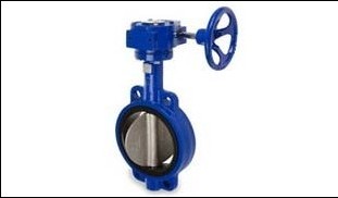 Wafer Type - Gear (Cast Iron-Viton).jpg