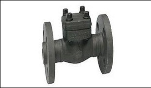 lift check valve ansi150.jpg