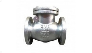 Swing check valve CI.jpg