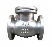 Check valve - swing check valve - Flange - cast iron.jpg