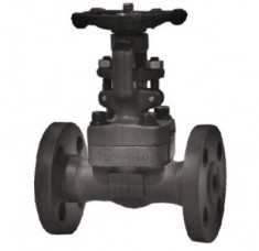Forged-gate-valve.jpg