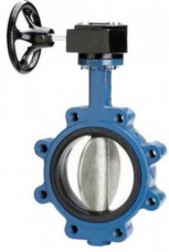 Lug Butterfle Valve.JPG