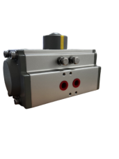 S__4653175-removebg-preview.png