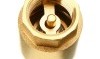 1-1-4-inch-npt-pipe-female-threaded-brass-spring-check-valve-inline-fpt-one-way.jpg