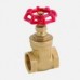 2-12-PN16-Brass-Gate-Valve-300x300.jpg